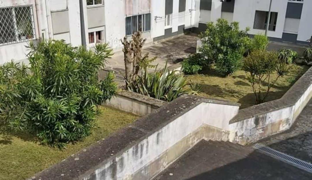 Apartamento Orquidea Ponta Delgada Exteriör bild